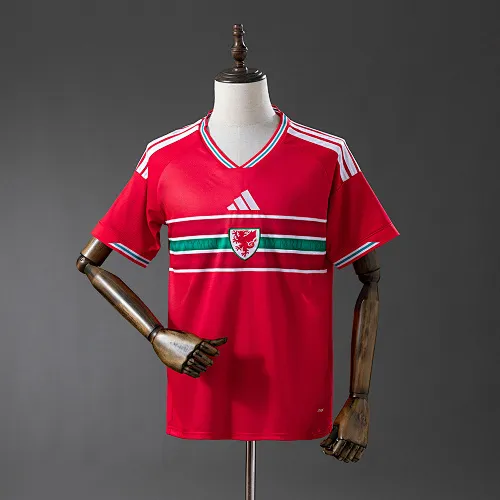 FIFA Wales Jersey
