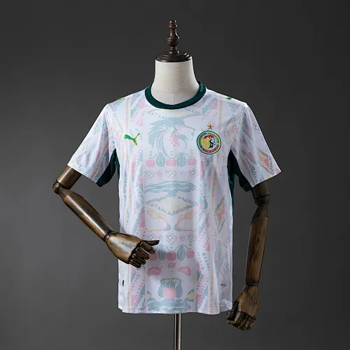 FIFA Senegal Jersey
